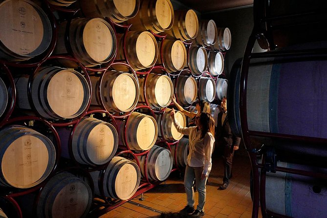 Bolgheri: Classic Wine Tasting with Winery Tour - Practicalities: Transport, Group Size, and Language