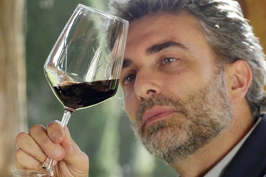Bolgheri: Winery Tour with Wine Tasting - Who this tour is best for, and who should consider alternatives