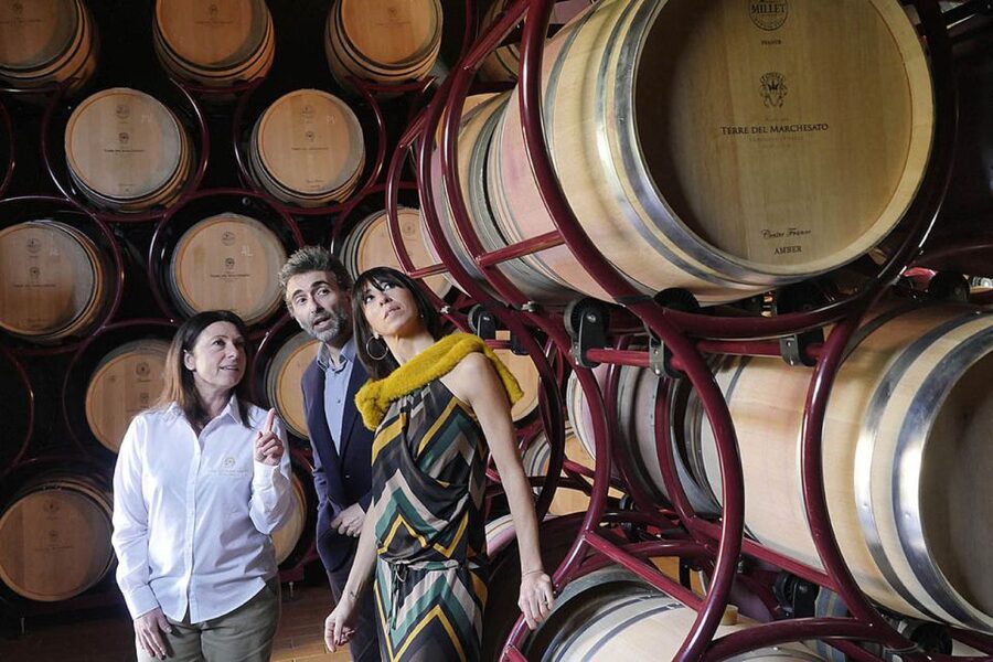 Bolgheri: Winery Tour with Wine Tasting - Meeting at Terre del Marchesato, and how the tour gets started