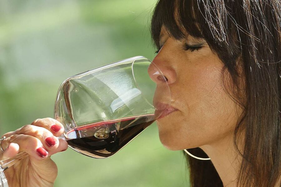 Bolgheri: Winery Tour with Wine Tasting - Bruschetta and homemade EVO olive oil, why it changes the tasting