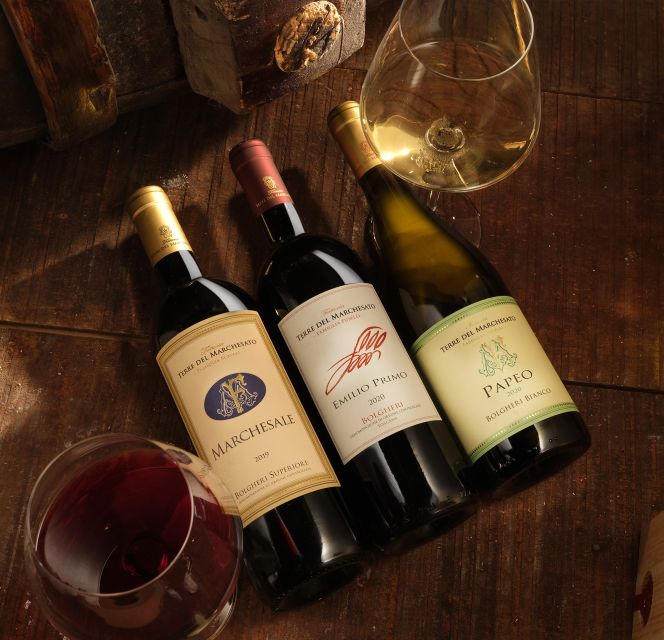 Bolgheri: Winery Tour with Wine Tasting - Price and value at $29 per person