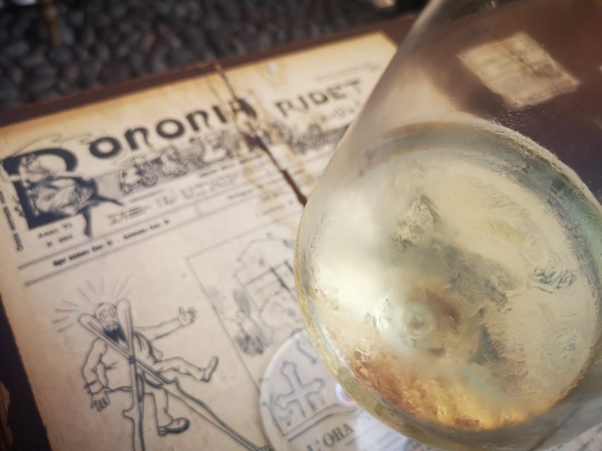 Bologna: City Center Guided Wine Walking Tour - Why Bologna’s center is the best place for a wine tour