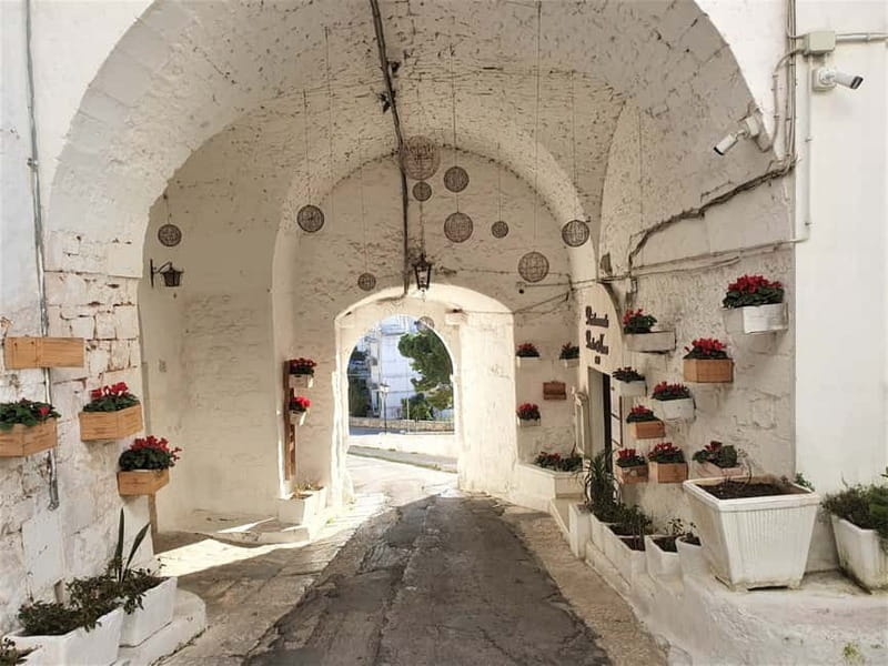 Brindisi: Alberobello, Locorotondo & Ostuni Tour with Brunch - Olive oil tasting and brunch: the most Puglia part of the day
