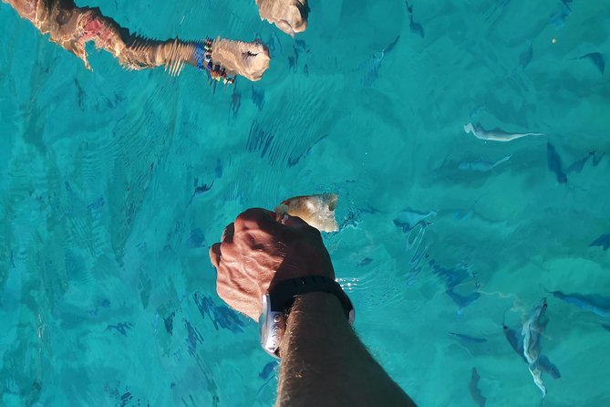 By boat between the sea and the most beautiful beaches! Capo Vaticano - Tropea - Briatico - The Full Route: Every Swim Stop, What It Offers, And What To Expect