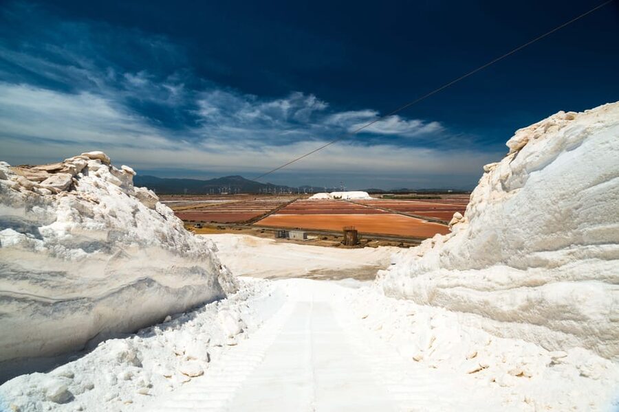 Cagliari: Conti Vecchi Salt Flats Train and Tour - Salt Plant, Museum, and the Artifacts That Make Salt Real
