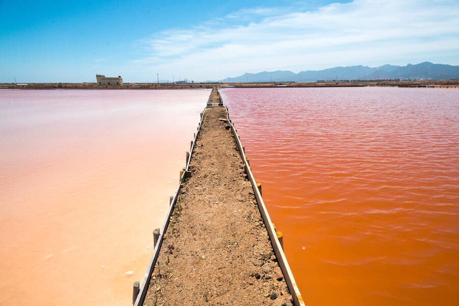 Cagliari: Conti Vecchi Salt Flats Train and Tour - Luigi Conti Vecchi and the Salt Worker Stories You Hear