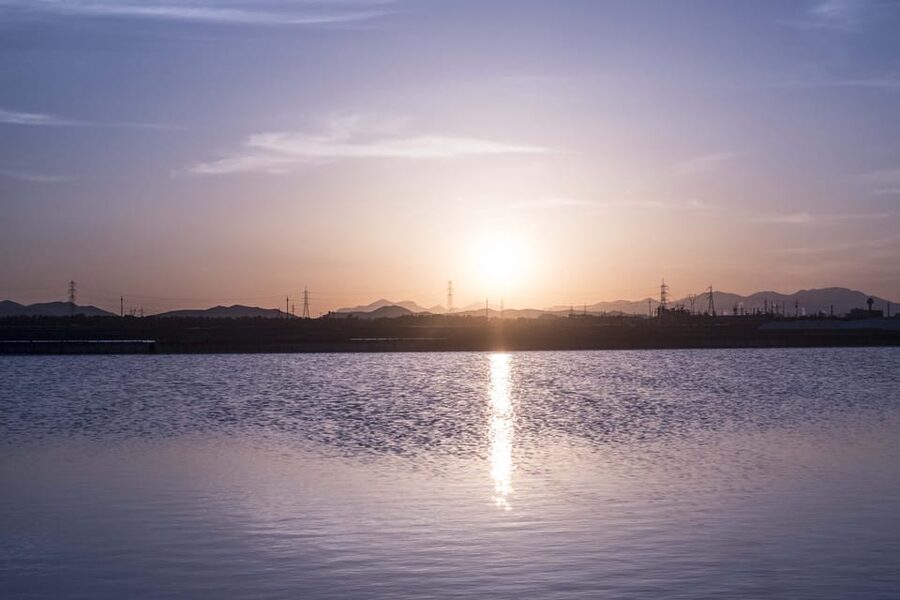 Cagliari: Conti Vecchi Salt Flats Train and Tour - One-Hour Train Ride Through Santa Gilla Basin Wetlands