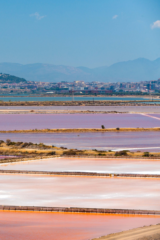 Cagliari: Conti Vecchi Salt Flats Train and Tour - Who This Tour Fits Best (and Who Might Want a Different Option)