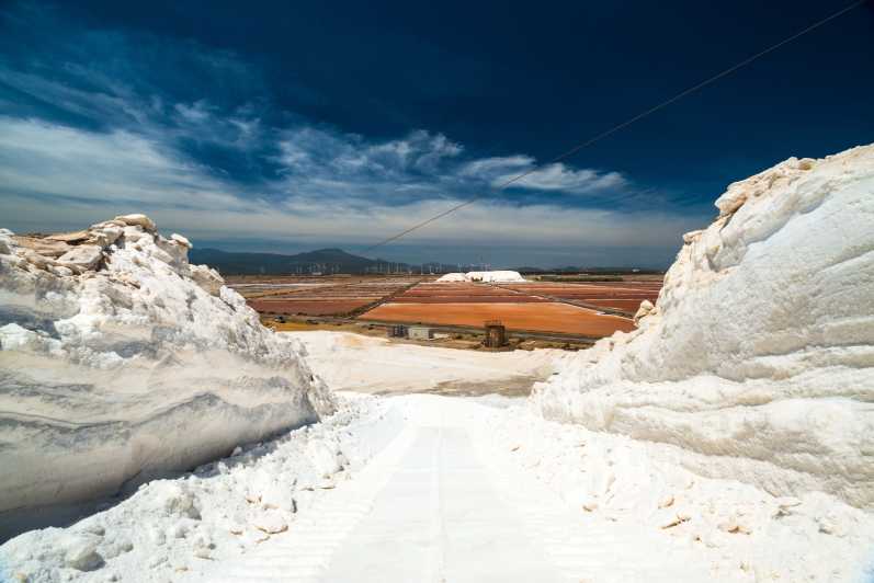 Cagliari: Conti Vecchi Salt Flats Train and Tour - Where You Start in Assemini and What the Walking Part Teaches