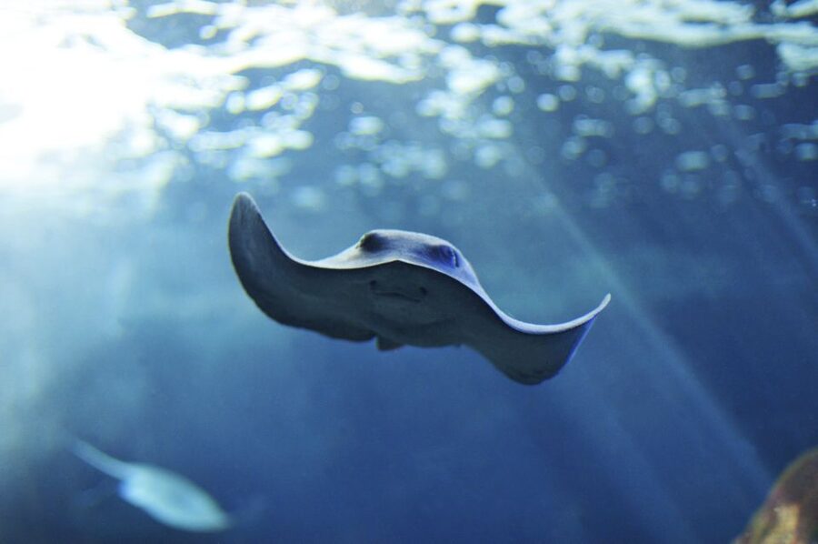 Cala Gonone: Cala Gonone Aquarium Entry Ticket - Quick highlights