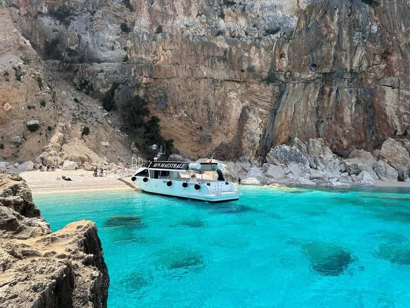 Cala Gonone: Gulf of Orosei Cruise with Beach Stops - Key Highlights at a Glance