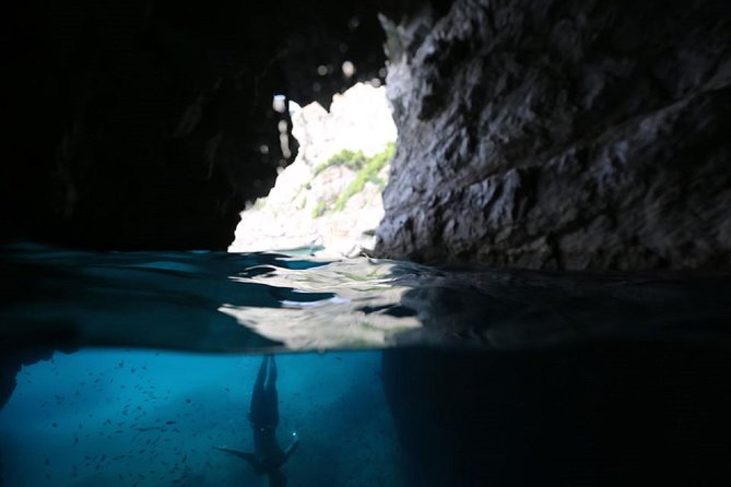 Capri & Blue Grotto Semi Private Boat Day Trip from Sorrento - Who Should Book This Capri and Blue Grotto Boat Trip