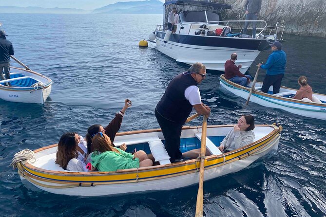 Capri Boat Tour with Optional Blue Grotto Visit from Sorrento - Punta Campanella Marine Park start: the dolphins and turtles zone