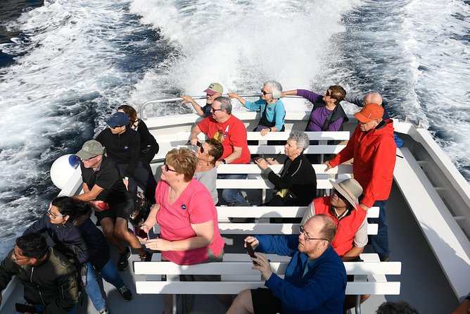 Capri Coast to Coast: Boat Tour with Optional Blue Grotto - Should you book Capri Coast to Coast with Blue Grotto option?