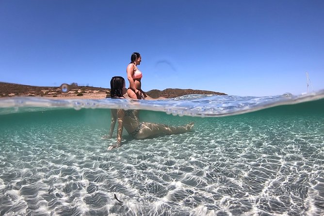 Catamaran excursions in the Asinara island National park - Key Things to Know Before You Go