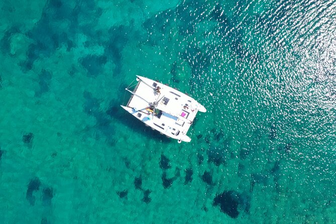 Catamaran excursions in the Asinara island National park - A Small Catamaran Day From Stintino: What the 8 Hours Feel Like