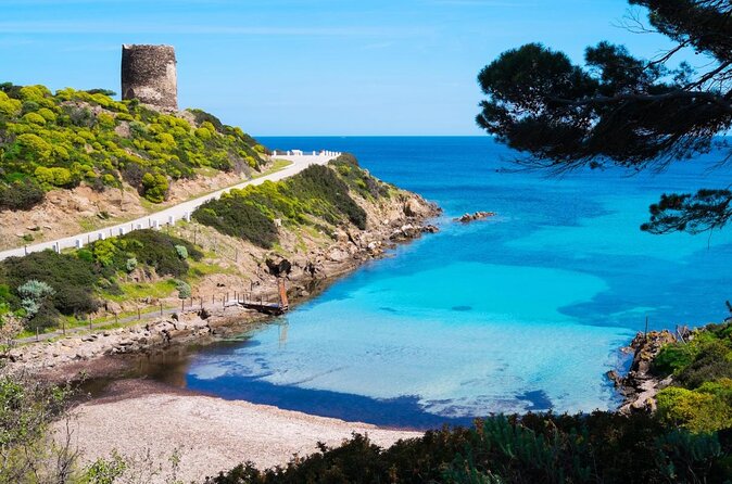 Catamaran excursions in the Asinara island National park - Guided Snorkeling and Marine Life You Can Actually Spot