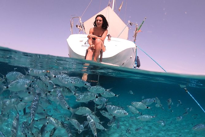 Catamaran excursions in the Asinara island National park - Value, Price, and What You Actually Get for About $121