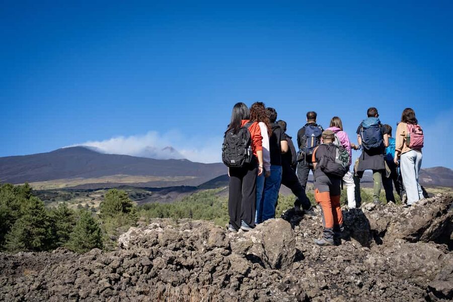 Catania: Amazing Etna Morning Tour with Pickup and Drop-Off - Monti Sartorius Walk: Views Plus Volcanic Plants and Time