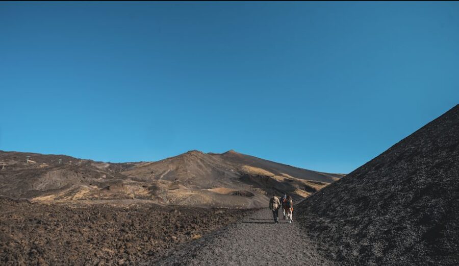 Catania: Etna Morning Excursion with Tasting and Pickup - Catania pickup to Etna timing, done the easy way