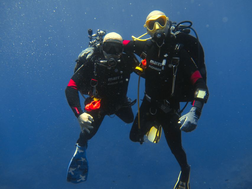 Catania: Gulf Scuba Diving Tour with Marine Biologist - Gulf of Catania underwater: why this tour feels special