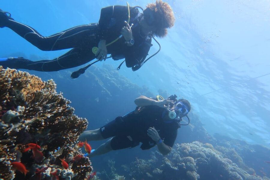 Catania: Gulf Scuba Diving Tour with Marine Biologist - Marine biologist guidance: learning that makes your eyes work
