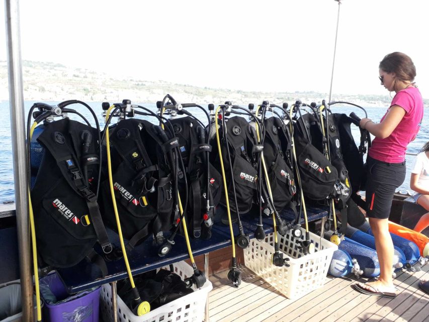 Catania: Gulf Scuba Diving Tour with Marine Biologist - Who this tour suits best in Catania