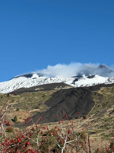 Catania: Morning Jeep Tour of Mount Etna and Lava Flow Caves - Who this tour is best for