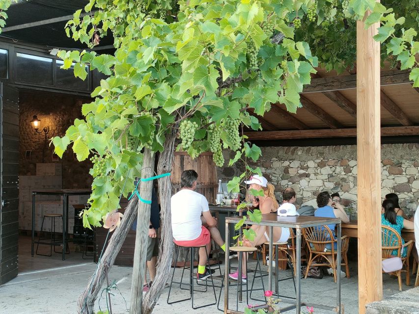 Cavaion: Lake Garda Wine & Food Tasting with Vineyard Tour - Key Things That Make This Tasting Worth Your Time