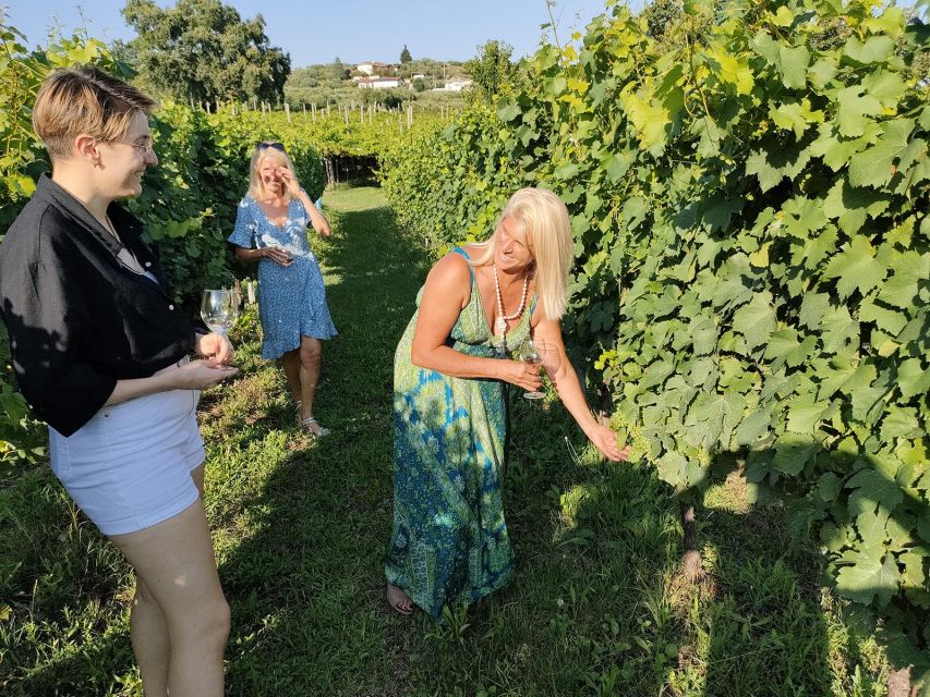 Cavaion: Lake Garda Wine & Food Tasting with Vineyard Tour - Cavaion and the Inland Taste of Lake Garda
