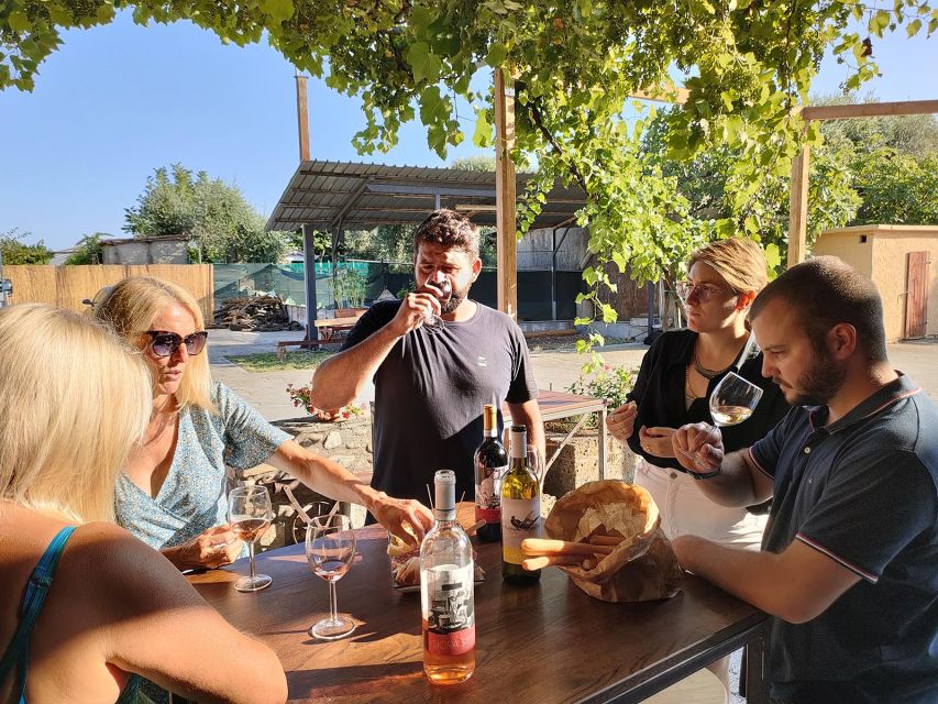 Cavaion: Lake Garda Wine & Food Tasting with Vineyard Tour - Should You Book This Cavaion Lake Garda Wine and Food Tasting?