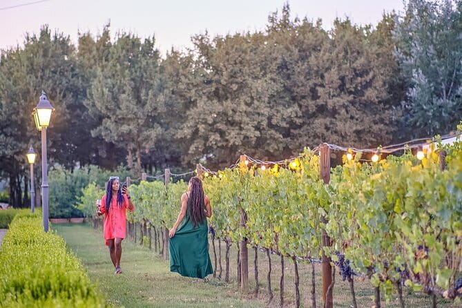 Chianti Delights: A Tale Of Two Wineries With A Vineyard Dinner - Key highlights you should care about