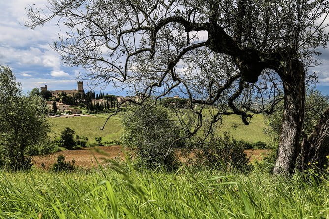 Chianti Delights: A Tale Of Two Wineries With A Vineyard Dinner - Coach comfort and the timing reality of Tuscany roads