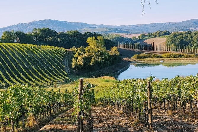 Chianti Wine Tastings Day Trip at Sunset from Florence - Key points I’d circle before you book