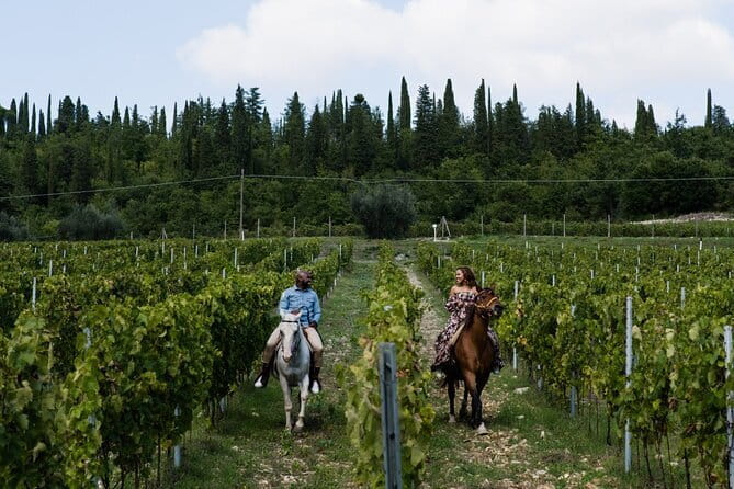 Chianti Wine Tastings Day Trip at Sunset from Florence - What the Vineyard Tour and Wine Tasting Includes