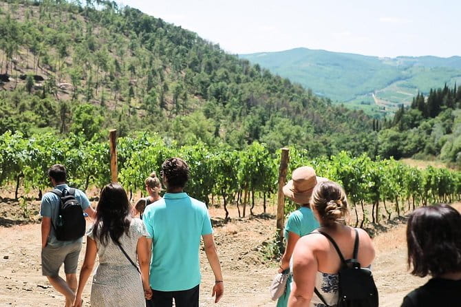 Chianti Wine Tour from Florence - Getting There From Piazzale Montelungo (and Staying Sane)