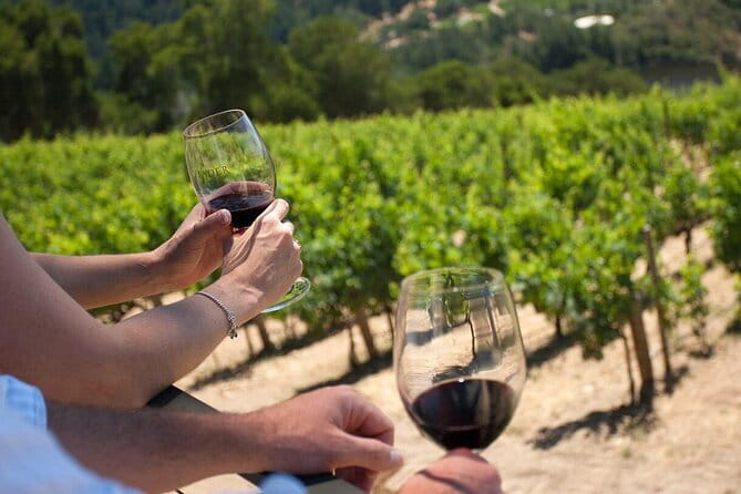Chianti Wine Tour from Florence - Price and Value: Why $59 Works If You Like Real Tastings