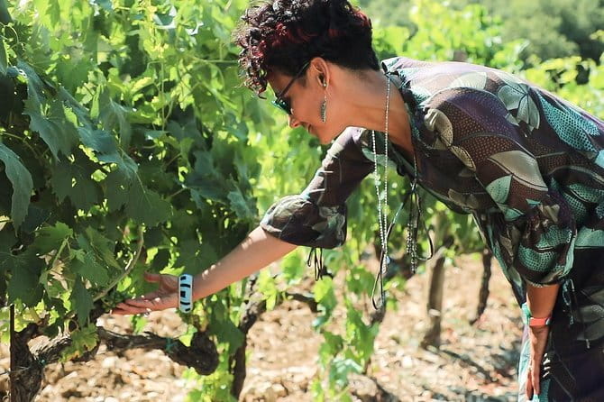 Chianti Wine Tour from Florence - Stop Two in Sienese Chianti Classico: Vineyards, Cellars, and an Aromatic Garden