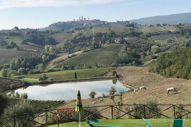 Chianti Wineries Tour with Tuscan Lunch and San Gimignano - The San Gimignano part: towers, squares, and gelato with a storyline