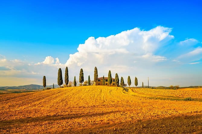 Cinque Terre and Pisa Full Day Tour from Florence - Transport, walking, and keeping pace without losing your day