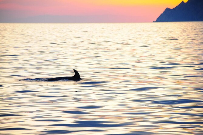 Cinque Terre Sunset Cruise with Aperitif from Monterosso - Monterosso Dock Reality: Meeting Point, Timing, and What to Bring