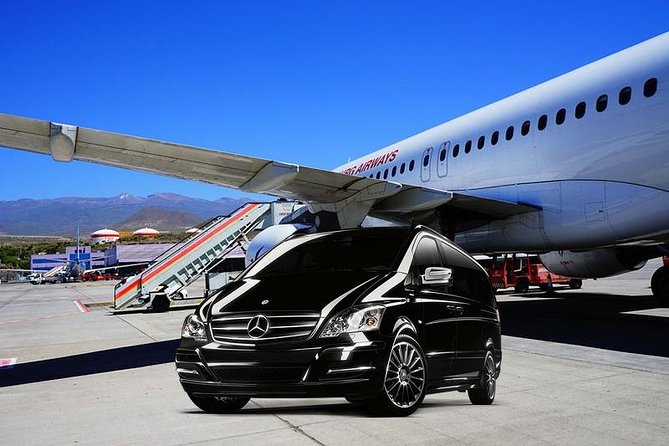 Civitavecchia Private Transfer from FCO Airport or Rome to Ship - Door-to-door value for a Rome cruise morning