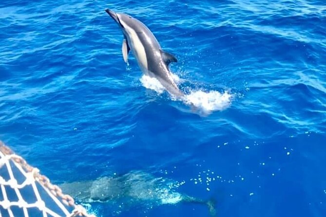 Classic Boat Tour in Palermo - Mondello Bay: swim break, snorkeling gear, and a relaxed aperitivo stop