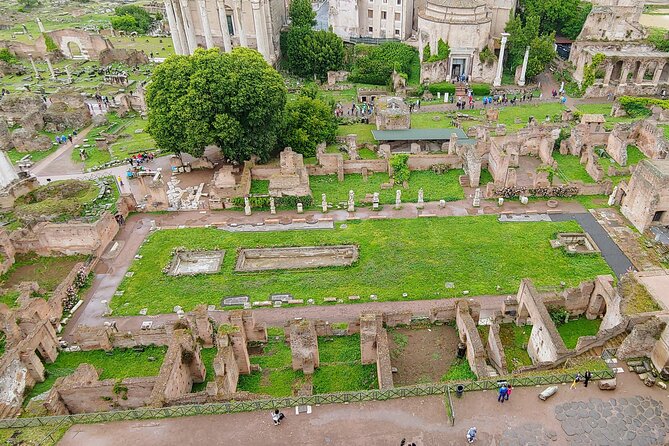 Colosseum & Ancient Rome Guided Walking Tour - Palatine Hill: Rome’s starting point and the view from the top