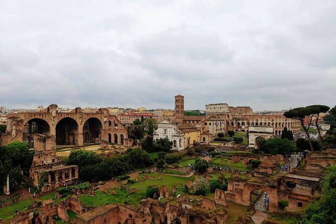 Colosseum & Ancient Rome Guided Walking Tour - Roman Forum: politics, business, and justice in the same space