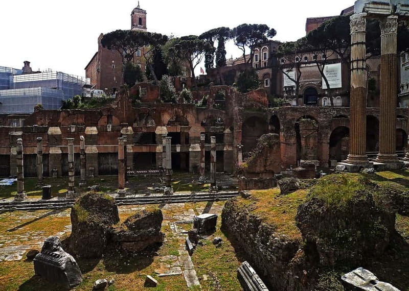 Colosseum, Forum & Palatine Hill Guided Walking tour - Who This Tour Suits Best, and Who Might Want a Different Option