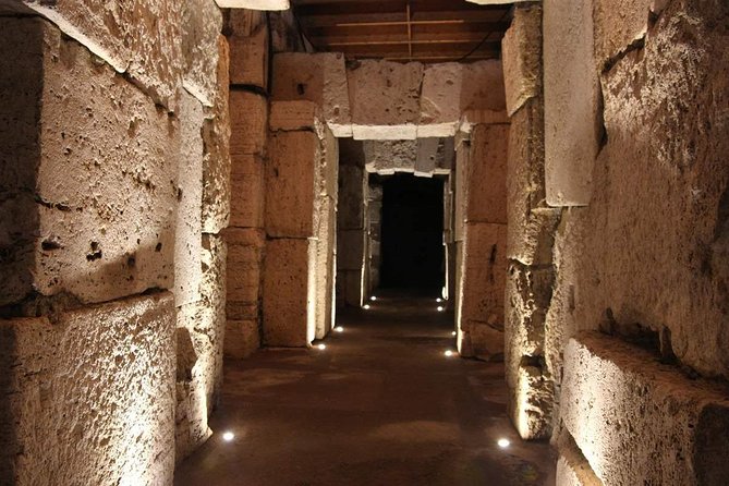 Colosseum Underground & Ancient Rome Guided Tour - Roman Forum storytelling and Palatine Hill views that connect the dots