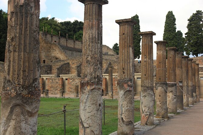 Day Trip of Pompeii, Herculaneum and Vesuvius from Naples - Driver commentary vs site guides: what this tour includes and what it does not