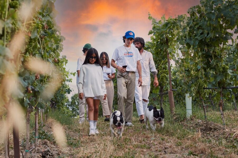 Desenzano: Lugana Wine-Tasting and Vineyard Tour - Key things to notice before you go