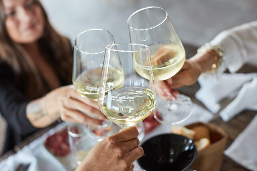 Desenzano: Lugana Wine-Tasting and Vineyard Tour - How the 2-hour tour really works near Lake Garda